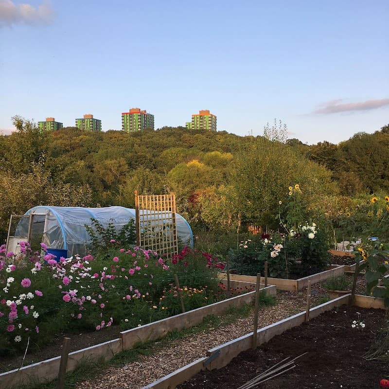 Bloom Sheffield CIC - Florists in sheffield