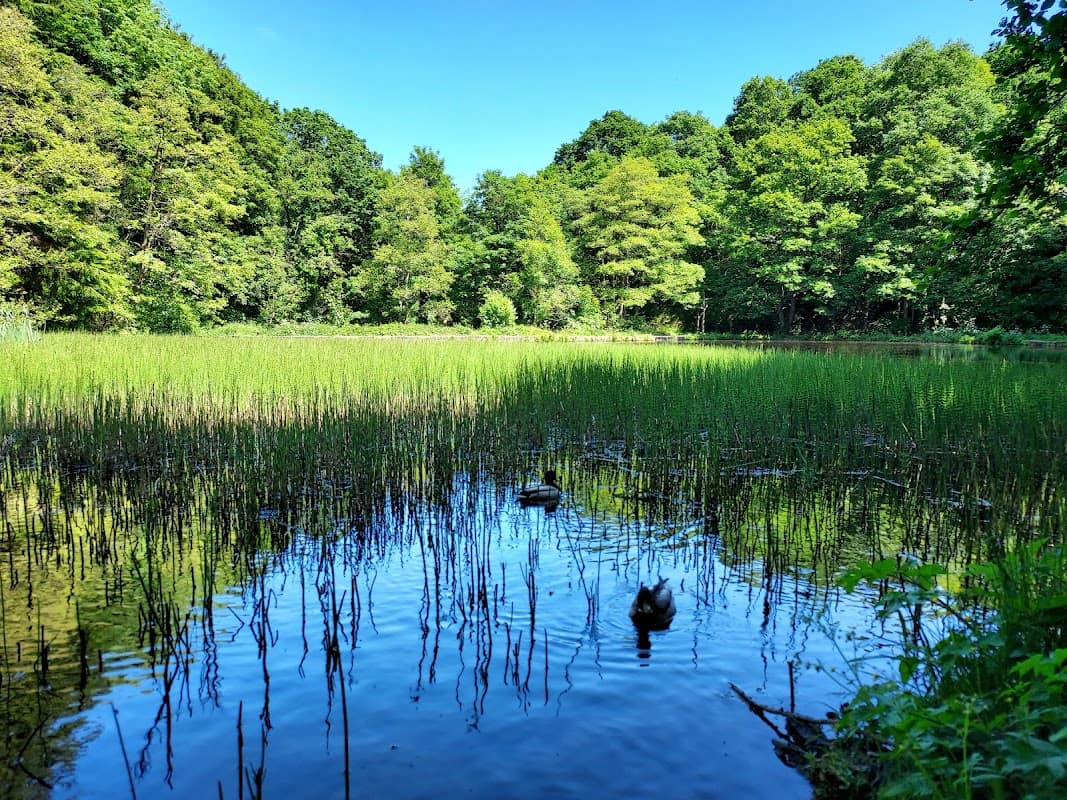 Accommodation at Quarry House in sheffield